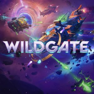 Wildgate PC Steam Account