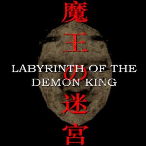 Labyrinth Of The Demon King PC Steam Account