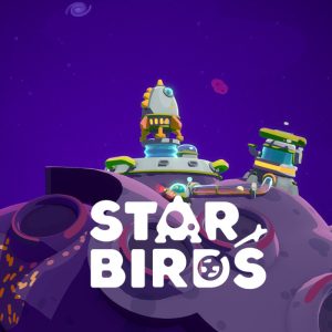 Star Birds PC Steam Account
