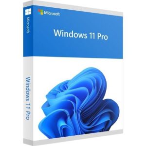 Windows 11 Professional 64 bit digital licence