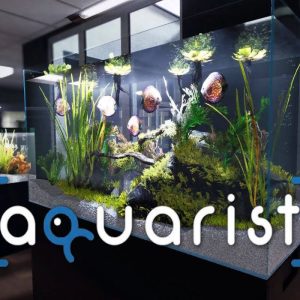 Aquarist PC Steam CD Key