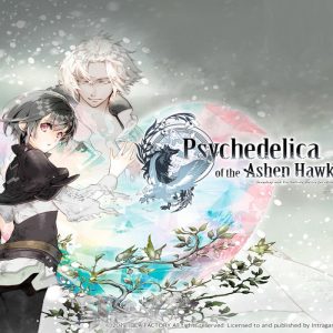 Psychedelica of the Ashen Hawk PC Steam CD Key