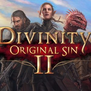 Divinity: Original Sin 2 Steam Altergift