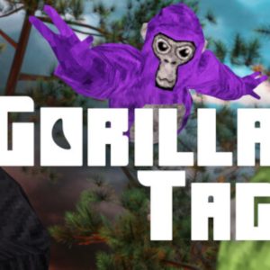 Gorilla Tag PC Steam Altergift