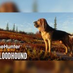 theHunter: Call of the Wild - Bloodhound DLC Steam Altergift