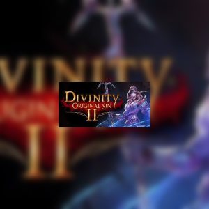Divinity: Original Sin 2 Eternal Edition Steam Account