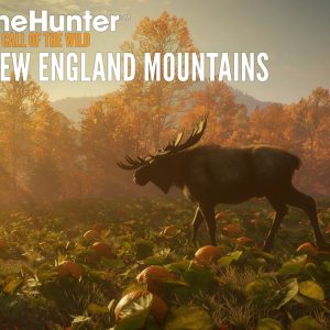 theHunter: Call of the Wild - New England Mountains DLC PC Steam CD Key