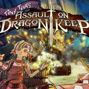 Borderlands 2 - Tiny Tina's Assault on Dragon Keep DLC PC Steam CD Key